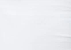 Supersoft Backless Short Sleeve Top -Swoon Fashion bayley backless top white imagefront ts73693pch