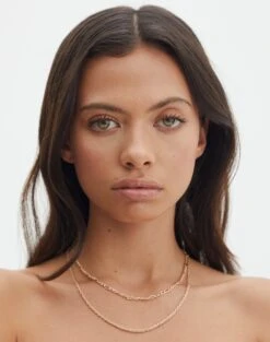 Plated Fine Chain Link Necklace -Swoon Fashion cartia classic twin necklace gold front je144676nl 18