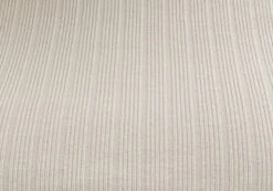 Long Sleeve Ribbed Knit Top -Swoon Fashion chutney crew neck what the shell imagefront kl79026vn