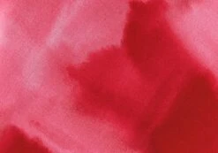 Print Maxi Slip Skirt -Swoon Fashion co riley low rise maxi skirt carnation skies imagefront sl102757prt