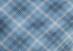 Printed Mini Mesh Dress -Swoon Fashion delica mini mesh bubble check imagefront ds128708rchk