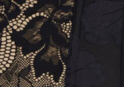 Lace Hook & Eye Front Corset Top -Swoon Fashion inka corset top blacknude imagefront ut111638lac