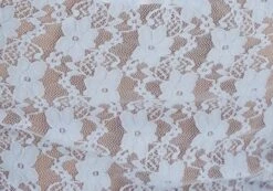 Off Shoulder Lace Long Sleeve Top 31 Off Shoulder Lace Long Sleeve Top -Swoon Fashion lexi longsleeve lace top icecap imagefront tl116985lac