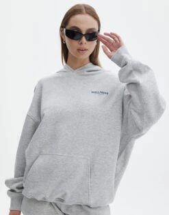 Ruched Print Mesh Off The Shoulder Top -Swoon Fashion o billie boyfriend oversized hoodie wellnesspale grey front tl102294oprt 1