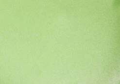 Shimmer Balconette Tie Back Bikini Top -Swoon Fashion reef balconette top pistachio imagefront ga52510shm