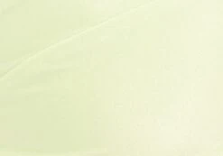 Shimmer Thong Bikini Bottom -Swoon Fashion zimi high waist thong lime splice imagefront ga63412shm